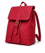 Cuir de Vachette Italien - Rouge framboise « BM 49 » – Image 4